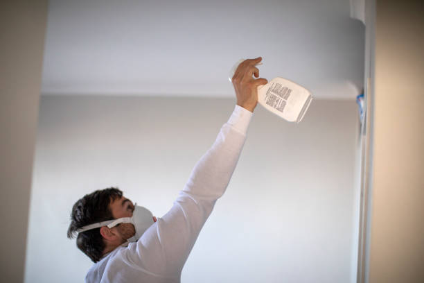 Best Localized Mold Remediation (e.g., coastal areas, humid climates) in Walnut Grove, GA